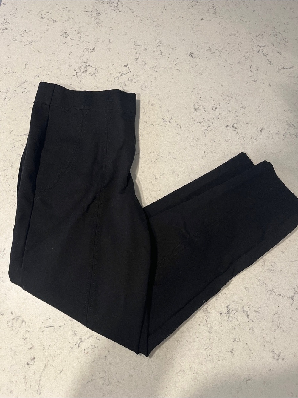 Jones & CO Jones New York Women’s Dress Pants size Large